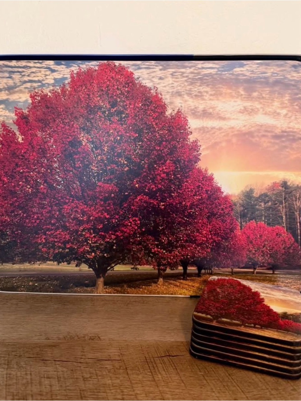 Pimpernel Red Tree Scenic Hot Plates and Coasters